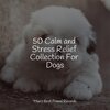 Music for Leaving Dogs Home Alone、Music for Dog's Ears、Relaxing Music for Dogs - Starting Today