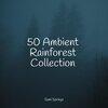 Ambient Rain、meditacou musica ambiente、Lluvia PQ - Falling Rains