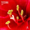 Tescana - Joyo (Radio Edit)