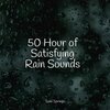 Relaxamento、Nature Sounds for Concentration、Relaxing Music - Softly Trickling