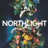 Northlight、Mattias Pérez、Hindol Deb、Nina Perez、Suchet Malhotra - Karlstadpolskan (feat. Mattias Pérez Nina Pérez Hindol Deb & Suchet Malhotra)