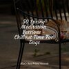 Music for Dog's Ear、Music for Pets Library、Music for Leaving Dogs Home Alone - Starting Today