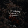 Master Meditação、Sons da Natureza & Relaxamento、Relajante Academia de Música Zen - Orillas Puras