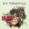 KT Tunstall《Out Of Touch》[MP3/LRC]