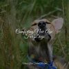 Music for Leaving Dogs Home Alone、Music for Dog's Ears、Relaxing Music for Dogs - Starting Today