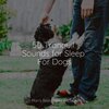 Music for Pets Library、Music for Leaving Dogs Home Alone、Music for Dog's Ears - Starting Today