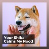 Dog Music - Music for a Calm Hound, Pt. 7