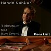 Hando Nahkur - No. 3