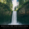 Academia de Música para Estudiar Fácilmente、Musica Para Meditar、Estudiar música para concentrarse - Corrientes De Las Cascadas