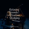 Little Magic Piano、Instrumental Piano Universe、Study Power - Touch of Love