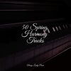 Baby Sleep、Piano Music for Exam Study、Restaurant Background Music - Blissful Waterfalls