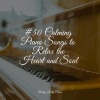 Background Piano Music、Classical Study Music、Relaxing Piano Club - Lake Lullabies