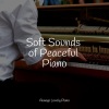 Tranquil Music Sound of Nature、Chillout Piano Lounge、Little Magic Piano - Utmost Relaxation