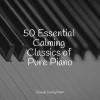 Classical Piano Music Masters、Relaxar Piano Musicas Coleção、Piano Bar Music Specialists - Oceanic Bliss