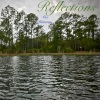 Alex Harmony《Reflections》[MP3/LRC]