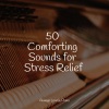 Peaceful Piano Chillout、Piano Shades、Gentle Piano Music - Moonlit Sand