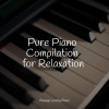Chakra Balancing Sound Therapy、Peaceful Piano Chillout、Classical New Age Piano Music - Nightfall Wishes
