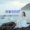 沧海哥哥《想着你的好》[MP3/LRC]