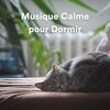 Zen Musique Détente、Zone de la Musique Relaxante、Aide Au Sommeil - Musique Calme Pour Dormir