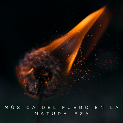 Sonidos De Aves、Latidos Binaurales Ondas Alfa、Música Relajante Para Leer - Mariposa