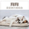 睡觉的狗歌 - 狗狗最爱听的睡眠曲