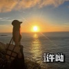 许呦 - 浪漫无处消磨