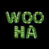 Lost In The Wave - Wooha (Explicit)