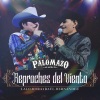 Palomazo Norteño、lalo mora、Raúl Hernández - Reproches Del Viento (En Vivo Desde El Domo Care)