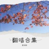 大彬《思念成沙》[MP3/LRC]