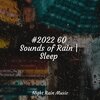 Classical Study Music、Wellness、Alpha Brain Waves - Waves, Dock, Lapping, Calm