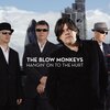 the blow monkeys - Hangin' on to the Hurt (Let It Go Now)