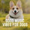 Dog Music Therapy - It's Balto