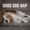 Dog Sleep Dreams - Sweet Face