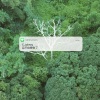 池约翰C.J - 忍不住想你了