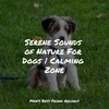 Music for Leaving Dogs Home Alone、Music for Dog's Ears、Relaxing Music for Dogs - Starting Today