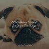 Music for Pets Library、Music for Leaving Dogs Home Alone、Music for Dog's Ears - Starting Today