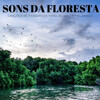 Música para Programar、Suave Música para Dormir、Ruído branco Academia De Música - Animais Da Floresta