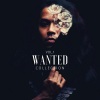 WANTED fokker - A pyit mae A mhar