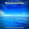 Meeresrauschen zum schnellen Einschlafen、Naturgeräusche、Meeres Rauschen、Meeresrauschen - Wellness im Jetzt