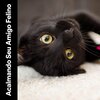 Cat Music - My Pet's Bliss