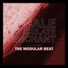 The Modular Beat - Ex Machina