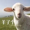 蓝色冰红茶 - 羊了个羊