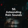 Binaural Beats Brain Waves Isochronic Tones Brain Wave Entertainment、Relaxing Music Therapy、Sonidos de lluvia para dormir - Rain, Vegetation, Wood, Heavy Wind