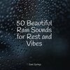 Sleep Sound of Nature、The Relaxing Sounds of Water、Loopable Sounds for Babies - Rain, Urban, Lightning, Concrete