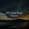 Kundalini: Yoga、Deep Sleep Music Academy、Massagem Guru - Water, Stream, Evening