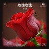 EmoZ - 玫瑰玫瑰我爱你 (EmoZ remix)