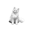 Hannah Trigwell、Ben Matravers - Comfortable