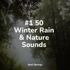 Natureza、Sounds of Nature White Noise Sound Effects、Namaste Yoga - Beachside Rain
