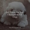 Music for Dog's Ear、Music for Pets Library、Music for Leaving Dogs Home Alone - Starting Today
