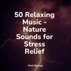 Namaste Yoga、Ruído branco、Gentle Rain Makers - Waves by the Rocks